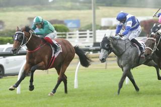 Scorpz (NZ) heads a Karaka Quinella in Saturdays Listed Hynds 3YO Salver at Ellerslie. Photo: Trish Dunell
